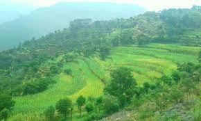 ريمة.. قتلى وجرحى باشتباكات مسلحة على قطعة أرض 