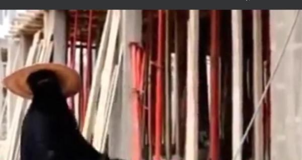  نافذ أمني بتعز يستقوي على امرأة عجوز وينهب ارضها 