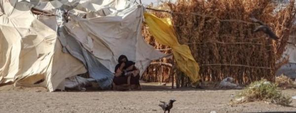 في الخوخة نازحون شردتهم حرب الحوثي يعانون قساوة الحياة
