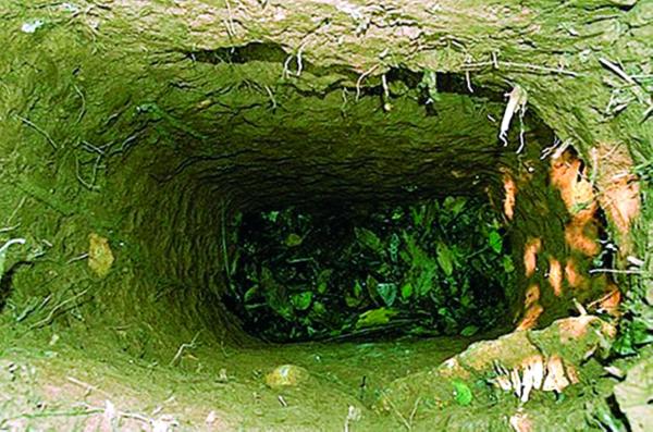 انقراض قبيلة من السكان الأصليين في «الأمازون»