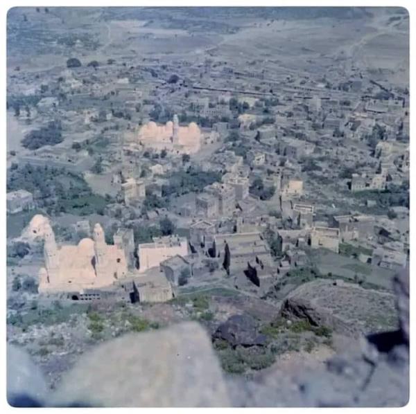 ارتفاع عدد الاصابات بحمى الضنك في تعز 