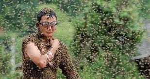 ارتكب خطأ.. فتعرض لـ20 ألف لسعة وابتلع 30 نحلة