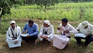 مزارعو العنب في صنعاء يشكون جبايات الحوثي