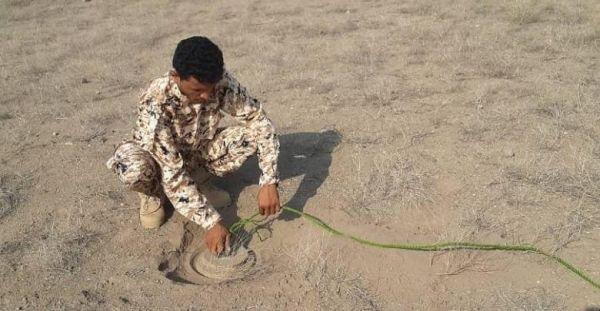  "هندسة المشتركة" تنزع ألغاما من مخلفات مليشيا الحوثي شرق الزهاري بالمخا