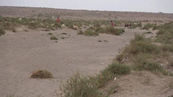  شراك الشر الحوثي في تهامة.. كيف اكتشفت امرأتان حقل ألغام في مرعى؟!  (تابع التفاصيل)