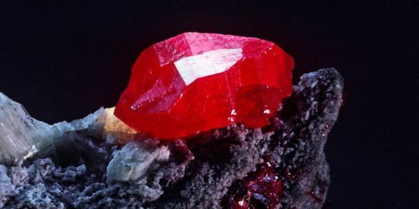 المغرب.. اعتقالات في قضية نصب متعلقة بـ"الزئبق الأحمر"