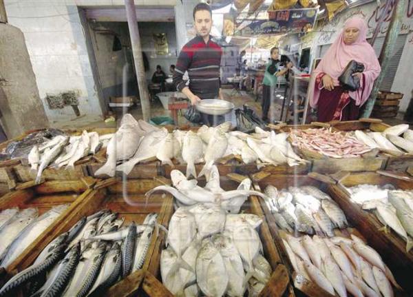 مليشيا الحوثي تعلن الحرب على تجار الأسماك في العاصمة