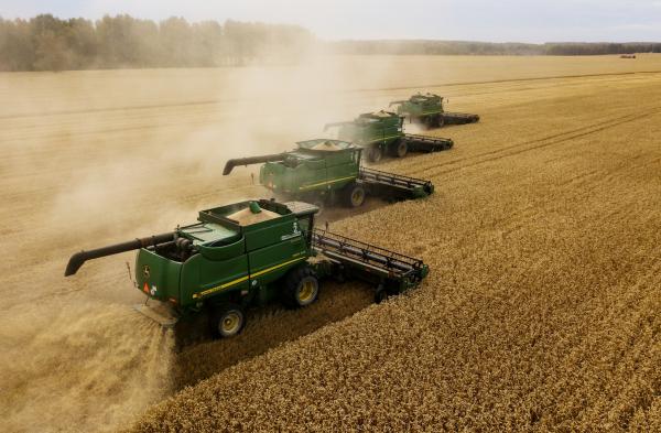 محصول الحبوب في روسيا يصل إلى مستوى قياسي هذا العام