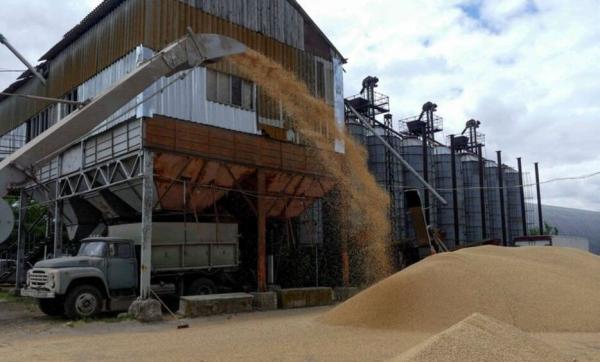 أكتوبر القادم... القمح الأوكراني يصل اليمن