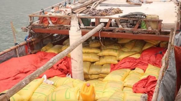 ضبط قارب أسلحة ومتفجرات في البحر الأحمر في طريقها لمليشيا الحوثي الإرهابية