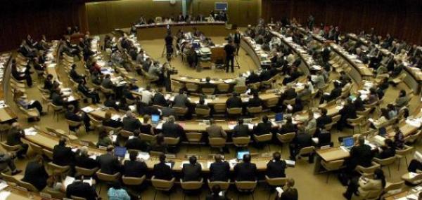 المجلس الوطني للأقليات : يشارك في اجتماعات مجلس حقوق الإنسان في جنيف