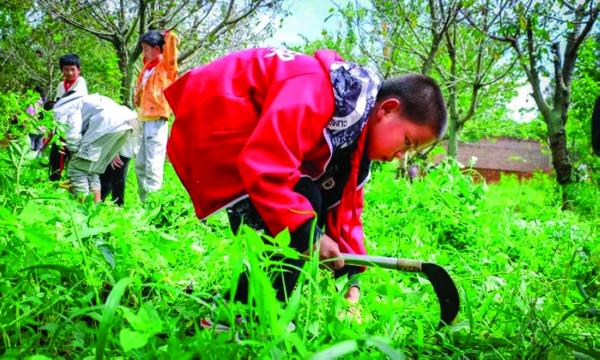 تلاميذ مدرسة ابتدائية «يأكلون مما يزرعون»