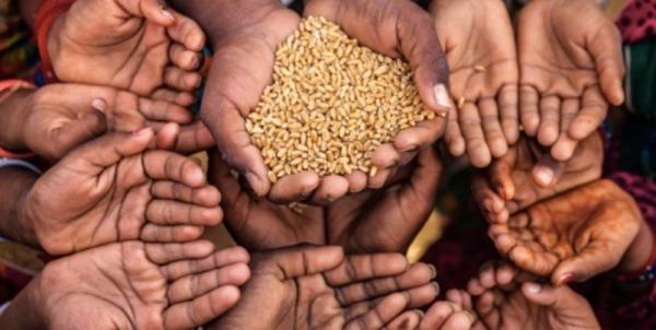 صندوق النقد: حرب أوكرانيا سببت أسوأ أزمة غذاء عالمية