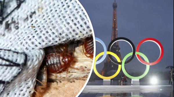 القمل وحشرات الفراش..  أزمة فرنسية تهدد أولمبياد باريس 2024