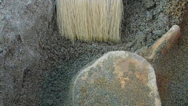 روسيا.. العثور في مقاطعة ساراتوف على بقايا موزاصور طوله حوالي 6 أمتار