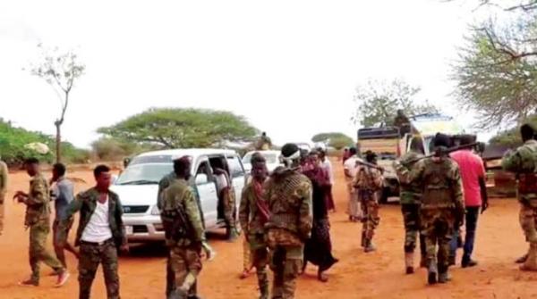 الحكومة الصومالية تسعى لـ«تجفيف منابع» تمويل الإرهاب