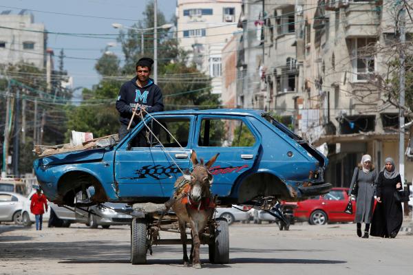 الواحد بألف دولار.. أزمة حمير في غزة ومخاوف من اختفائها تماما