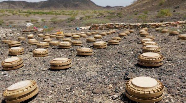 فرق الهندسة تباشر تطهير المناطق المحررة بالجوف من ألغام الحوثي