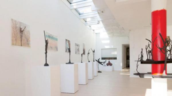 «داخل غابتي المكسورة» منحوتات ولوحات تهدئ من روعك