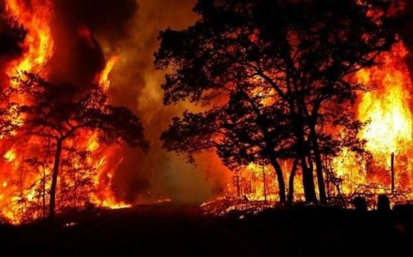 الجزائر: انطلاق محاكمة عشرات المتهمين بالانتماء لتنظيم انفصالي