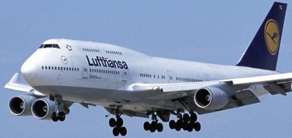 ثعبان بين ركاب طائرة أميركية يثير الذعر