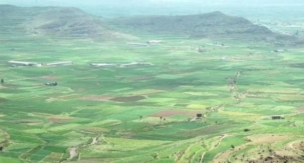 عصابة الحوثي الارهابية تختطف عشرين مزارعا بمحافظة ذمار