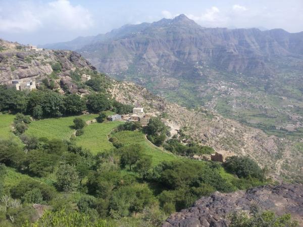 لواء النقل يشتبك مع أبناء شرجب لأخذ موقع في رأس هيجه العبد