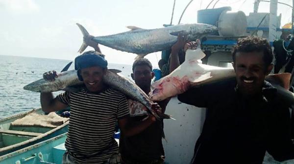 سقطرى : توجهات برفع مستوى إنتاج الأسماك وإنهاء العشوائية