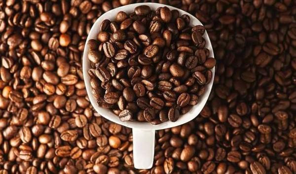 لماذا ارتفعت أسعار القهوة 41 % منذ أغسطس؟