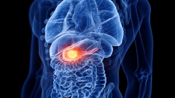 "البنكرياس"عضو مهم في الجسم.. فكيف نحافظ على صحته؟