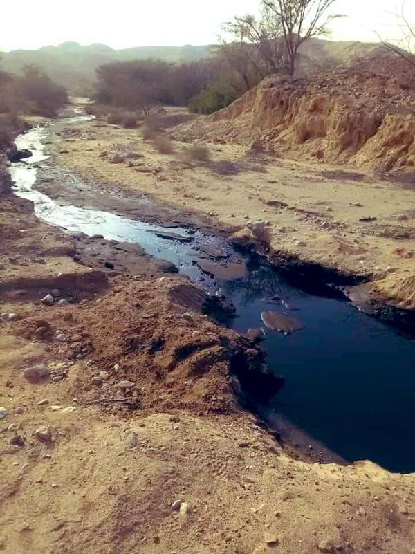 شبوة: تسرب نفطي في الروضة يهدد بكارثة بيئية