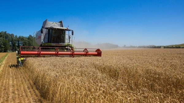 روسيا تعلق مشاركتها في اتفاق تصدير الحبوب الأوكرانية