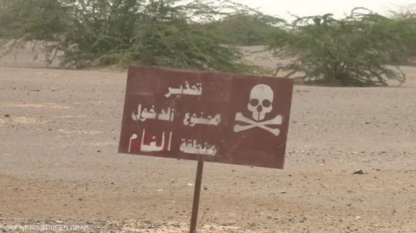 لغم حوثي يحصد عشرات المواشي في مأرب