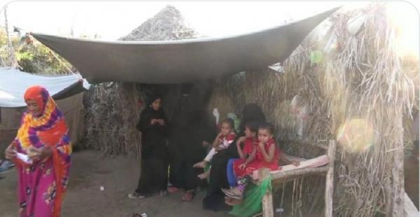 من قصص الساحل المنسية.. قناص حوثي اغتال رب أسرة وشرّد أماً وأطفالها في "دريهمي الحديدة"