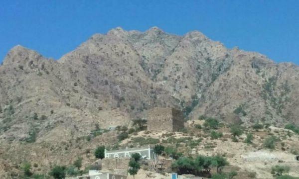 القبض على مغتصب طفل في القبيطة 