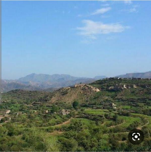 طالبة تستدعي أقاربها للاعتداء على معلم وتتسبب في إغلاق مدرسة بمعافر تعز