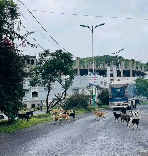 قيادي حوثي يستولي على منزل مواطن بالقوة بمحافظة اب