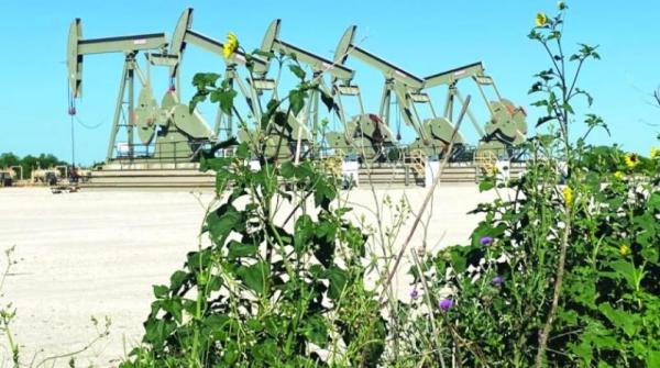 الجزائر تتوقع استقرار أسعار النفط عند 100 دولار للبرميل بنهاية العام