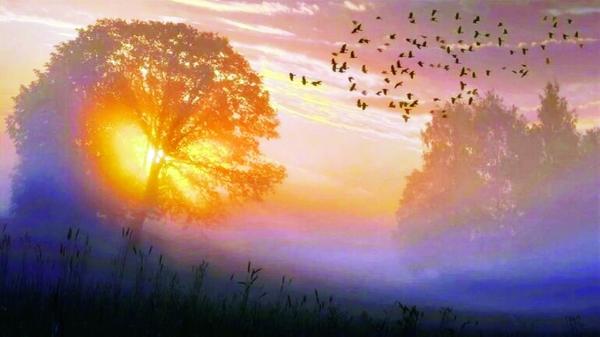 الاحتباس الحراري يقلل الفرق بين الليل والنهار