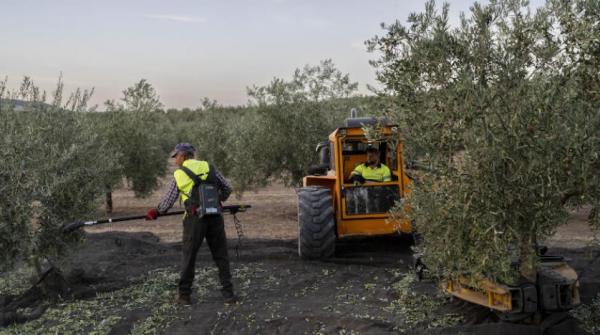 موجات الحر قد تقتل 90 ألف شخص سنوياً في أوروبا بحلول 2100