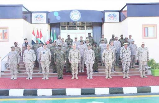 6 جيوش عربية تنفذ "قفزة الأشقاء"