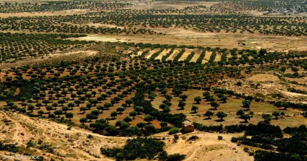 كيف يضرب تفاقم أزمة المناخ معدلات النمو الاقتصادي؟ | المنتصف نت كيف يضرب تفاقم أزمة المناخ معدلات النمو الاقتصادي؟ | المنتصف نت