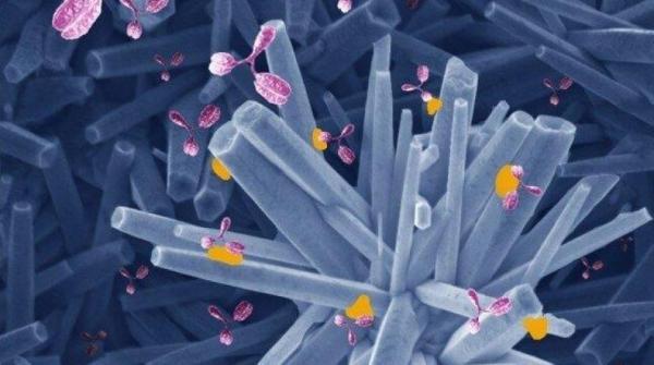 جهاز يكتشف الأجسام المضادة لـ«كورونا» خلال 5 دقائق