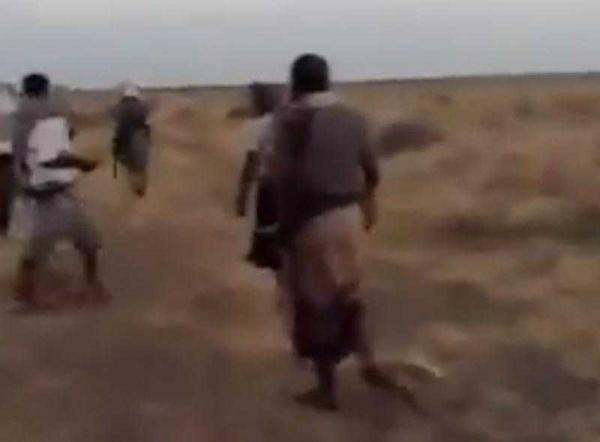 حقوقيون يدينون استعراض مليشيا الحوثي القوة في نهب أراضي المواطنين