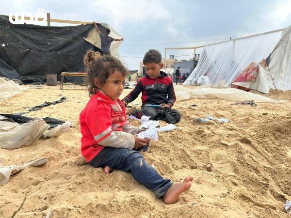 أمين عام المجلس النرويجي للاجئين: المدنيون في غزة يُقتلون لأن أمريكا تمد إسرائيل بالسلاح