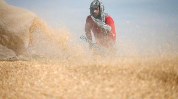 إسرائيل تستهدف المزارعين وصيادي العصافير في غزة