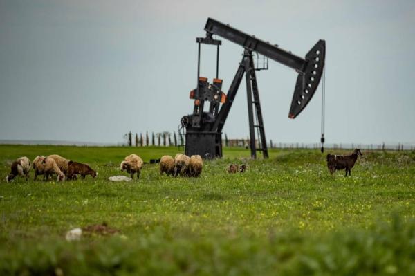 النفط نحو ثاني انخفاض أسبوعي على التوالي