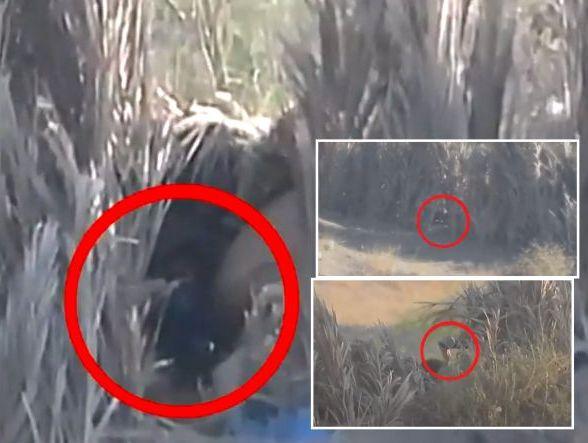 نهاية مرعبة لـ 10 من قتلة نساء وأطفال اليمن بجبهة الساحل الغربي