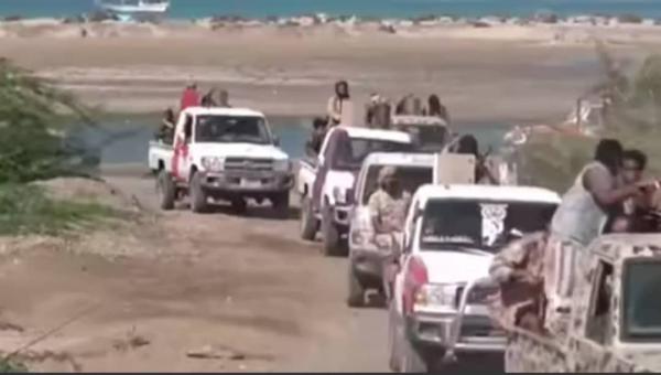 حملة أمنية مشتركة تضبط أسلحة وذخائر مخزنة في مناطق محررة بالحديدة