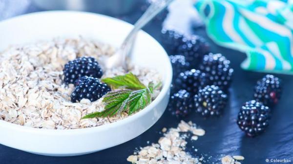 سبعة أسباب تجعل حبوب الشوفان ضيفا دائما على مائدة الطعام